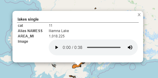 Audio Screenshot